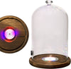 Load image into Gallery viewer, Tall Glass Dome with center LED lights Wooden Base