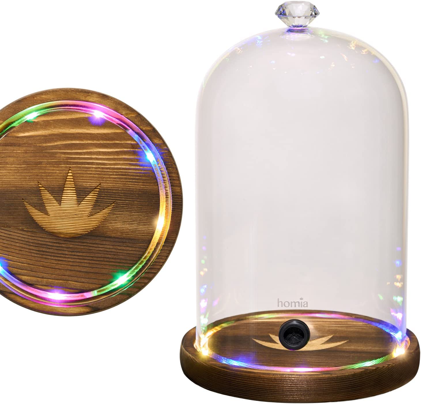 Tall Glass Dome with circle LED lights Wooden Base